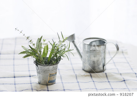 bucket, buckets, spice 918207