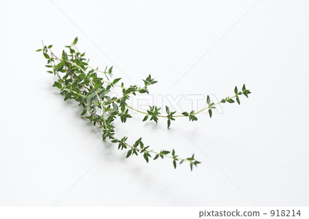 marjoram, spice, spices 918214