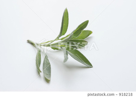 五香的 香料 香草 918218