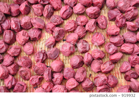 向日葵曬乾的烏賊2 919932