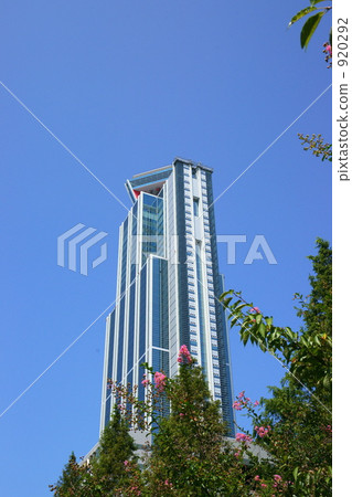 Skyscraper Skyscraper 920292