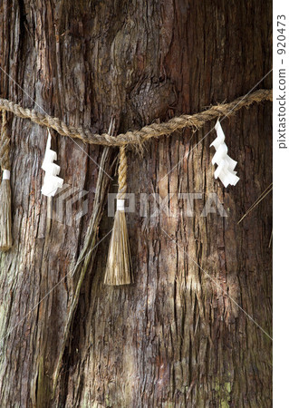 春日大社神社Kami樹 920473