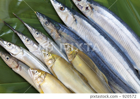  seafood 920572