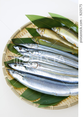 海鮮 海鮮 920575