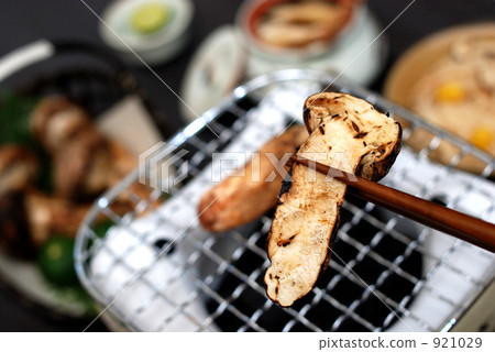  Yakimatsutake 921029