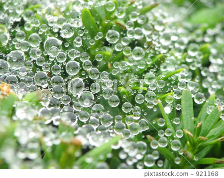 Water drop eco image 921168