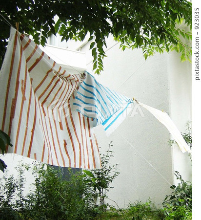 張 洗衣店 掛衣鉤 923035