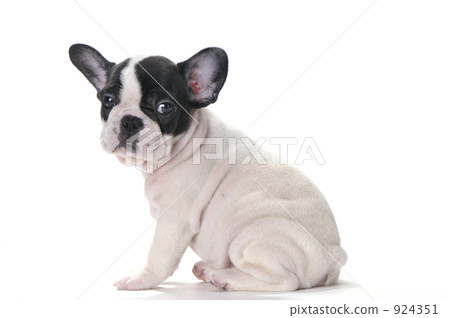 Do you need a diet? 924351