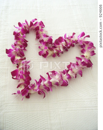 心沒有雷 心沒有雷 924666