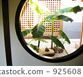 round window, planting tree, garden 925608