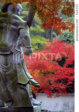 Mr. Nioto and autumn leaves 926385