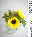 sunflower	 927310