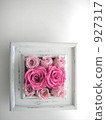 preserved flower, frame, wall hanging 927317