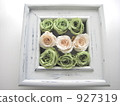 preserved flower, frame, rose 927319