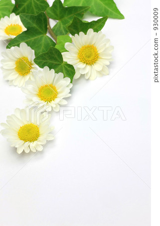 克里斯安化學 930009