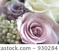 preserved flower, rose, roses 930284