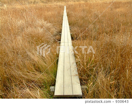 在鈴木的木橋 930643