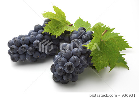 Grapes 930931