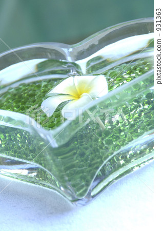 雞蛋花 931363