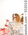 dog, dogs, christmas 932018
