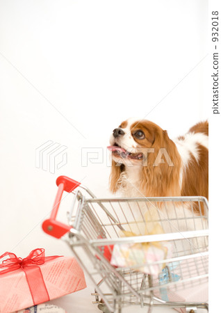 dog, dogs, christmas 932018
