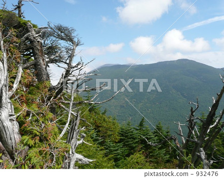 從山路看到的淺間山 932476