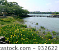 Pier and irises 932622