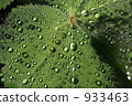 Water droplets 933463