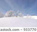 一個平靜陽光燦爛的冬日·一個積雪覆蓋的小樹林和藍天 933770