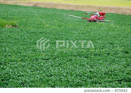 在豆類領域傳播肥料的農業工作車輛 935682