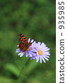 Kitatteja 935985