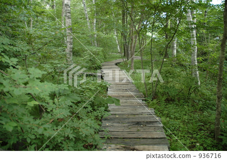 木板地 木地板 高原 936716