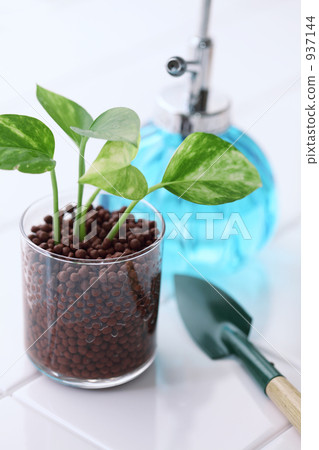 Hydro culture 937144