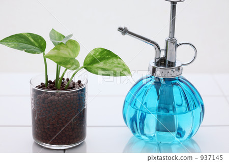 Hydro culture 937145