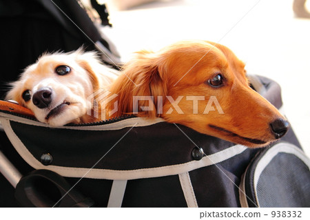 Miniature Dax 938332