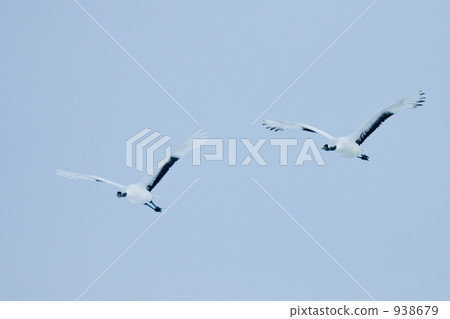 Dancing in the blue sky · · · 938679