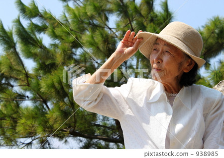 松樹 樹木 上半身 938985