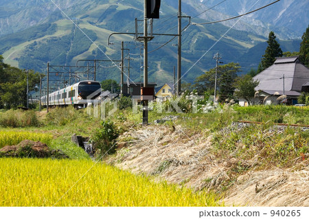 鄉村景觀和大型麒麟線 940265