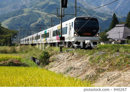 鄉村景觀和大型麒麟線 940267