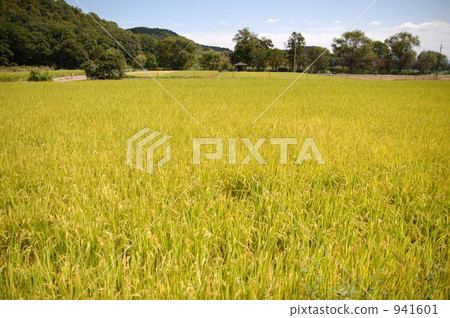 Hirosawa Akita 941601