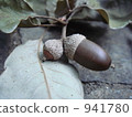 Acorn parent and child 941780