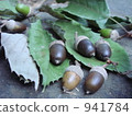 Acorn 941784