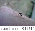 I am bitten by a mosquito 941814