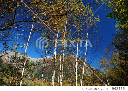 秋天走在上高地 942586