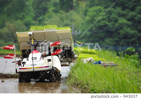 cultivator, farm tractor, rice planting 943037