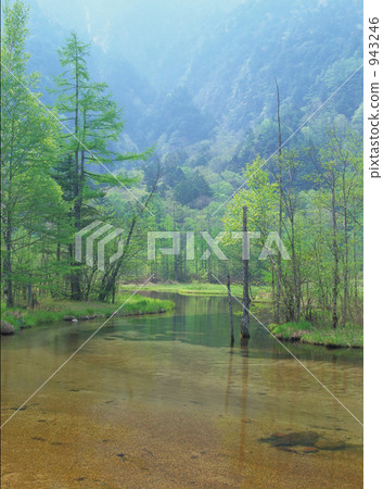 lake tashiro, kamikochi, tender green 943246
