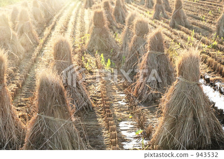 A straw A straw 943532