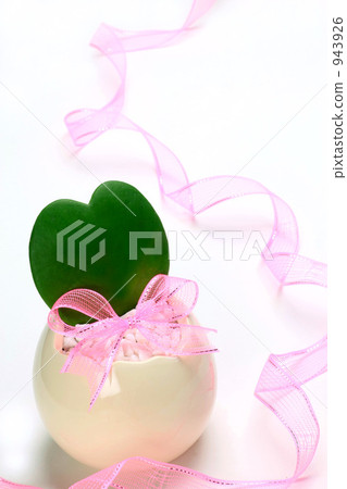 Heart shaped cactus 943926