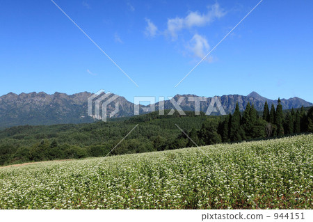 Togakushi蕎麥領域 944151