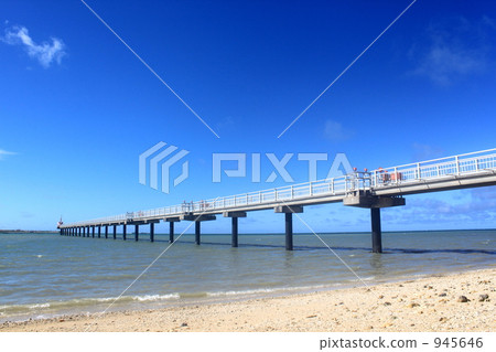 bright, sunshiny, vibrant 945646